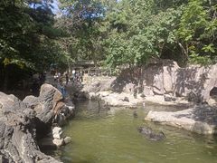-燕塞湖鸟语林景区