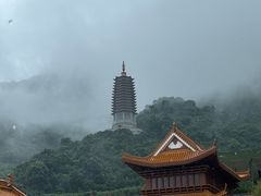 -深圳仙湖植物园
