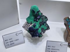 -天津梅江会展中心