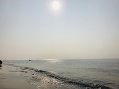 -南戴河旅游度假区
