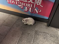 -麦当劳(CP静安店)
