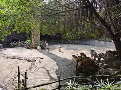 -长鹿旅游休博园