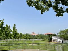 -合肥野生动物园