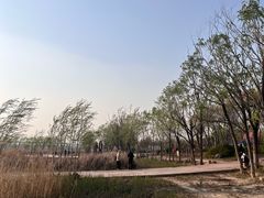 -绿堤公园
