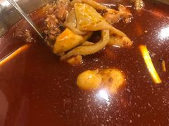 -冯记香辣兔火锅(茶店子总店)