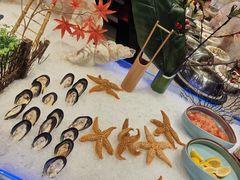 -蓝鲸湾汤泉(包河店)