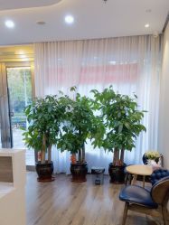 点击看大图 -德媛医疗美容