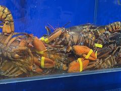 -船梆煮•蒸汽海鲜·生腌干蒸(五四广场店)