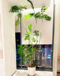 -HYOUNG 禾漾·BTL官方美学中心