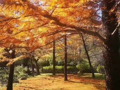 -四明山国家森林公园