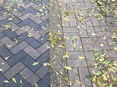 -苏州河梦清园环保主题公园