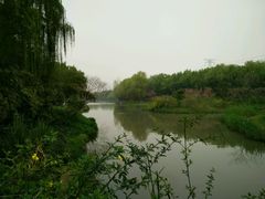 -昆山城市生态森林公园