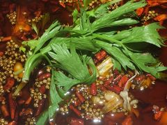 鱼火锅-小门坎三合鱼(总店)