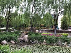 -灵山莲花公园-温泉度假区