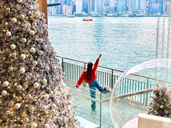 -海港城
