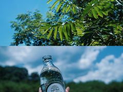 -楠溪江风景名胜区