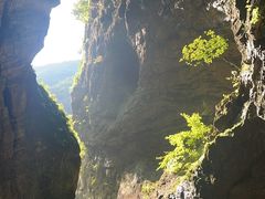-牛背梁国家森林公园