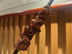红柳枝烤羊羔肉串-红柳枝滩羊烧烤·非遗