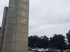 -铁山坪森林公园