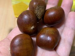 刚刚出锅的炒栗子-粒上皇(天丰利市场店)