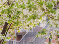 -四川大学(望江校区)