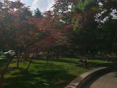 -云南师范大学(一二一西南联大校区)