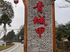 -青城甲(青城山店)