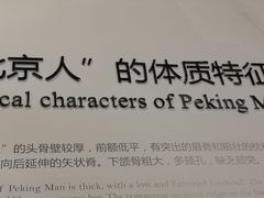 -北京周口店北京人遗址博物馆