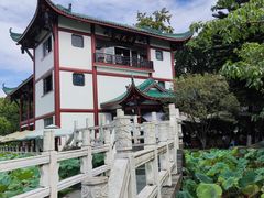-桂湖森林公园