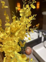 -栖SPA·ONDA ·海菲秀·皑皑科技美肤中心
