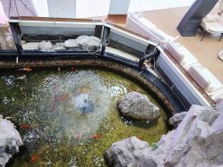 -五洲妇儿医院