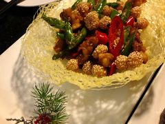 -云中小雅