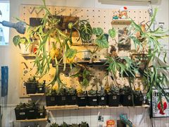 -Rabbit Cafe私房西餐甜点咖啡(栖霞路店)