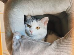 -青春加萌照相馆