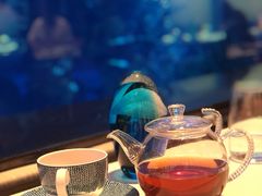 -迪拜帆船酒店海底餐厅