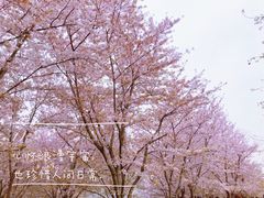 -龙美术馆(西岸馆)