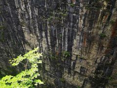 -鹿院坪生态旅游景区