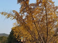 -九龙潭景区
