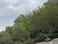 -陕西省红河谷森林公园