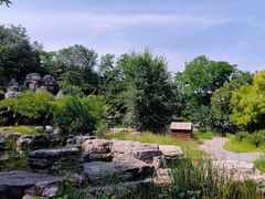 -莲花池公园