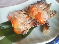 -渔娘渔家丹东海鲜(东直门店)