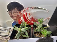 -华彬眼镜专业渐进配镜(潘家园店)