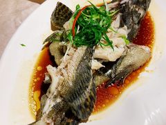-富黎华海鲜大酒楼(正大广场店)