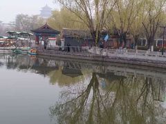 -莲花池公园