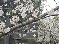 -南山植物园