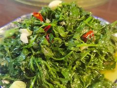 -老味道1992(武当山店)