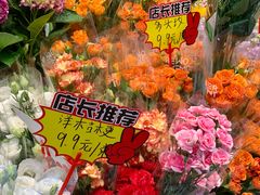 -溪岸路花鸟市场