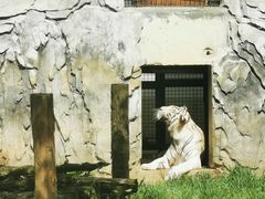 -黔灵山公园
