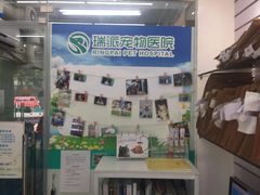 -瑞派动物医院·猫专科·至诚(江南中分院)