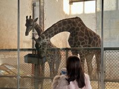 -石家庄市动物园